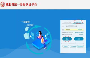 湖北政務服務網衛生行政許可在線申請操作指南